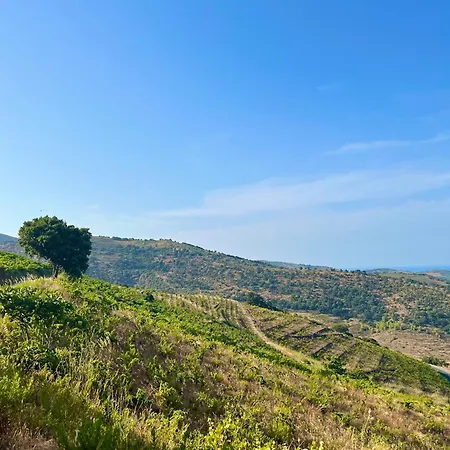 Vue Panoramique Exceptionnelle L T2 Mezzanine Luxueux Διαμέρισμα